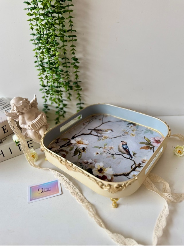 سینی لوکس برای پذیرایی